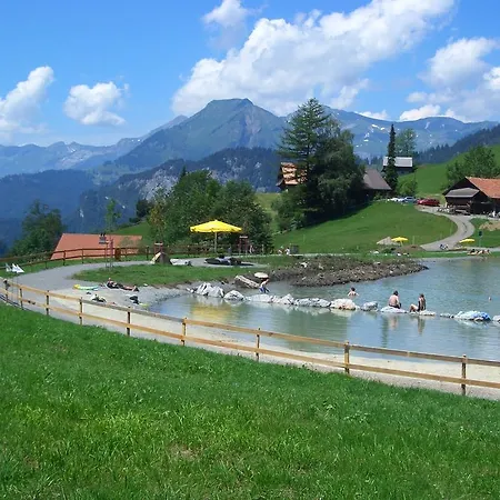 Daire Engi C Meiringen